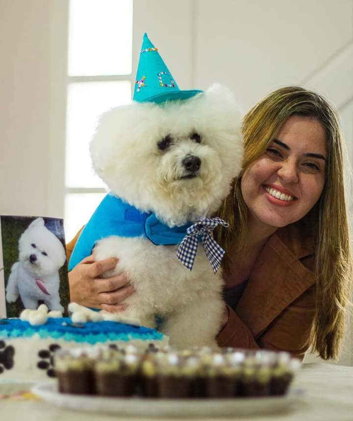 cao.com clinica veterinaria florianopolis