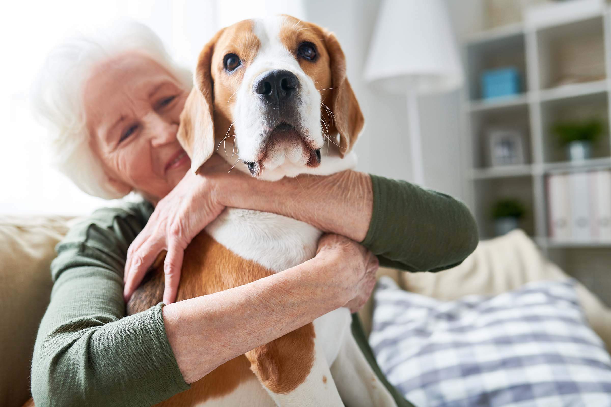 Senior woman with loved pet VBHGZ3F